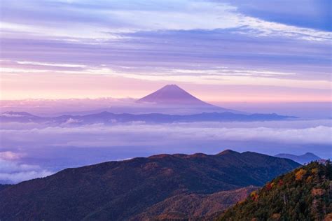 brillia護国寺富士見坂 - 東京の隠れた宝石とその文化的意義