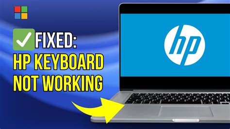 hp キーボード 反応しない: デジタル時代のフラストレーションとその解決策