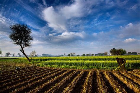 ¡Journeys Through Farming Landscapes: Una Reflexión Poética Sobre la Agricultura Alemana!