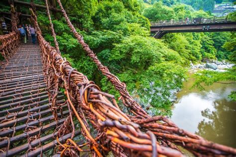 徳島 観光 何もない、だからこそ見つけられる隠れた魅力